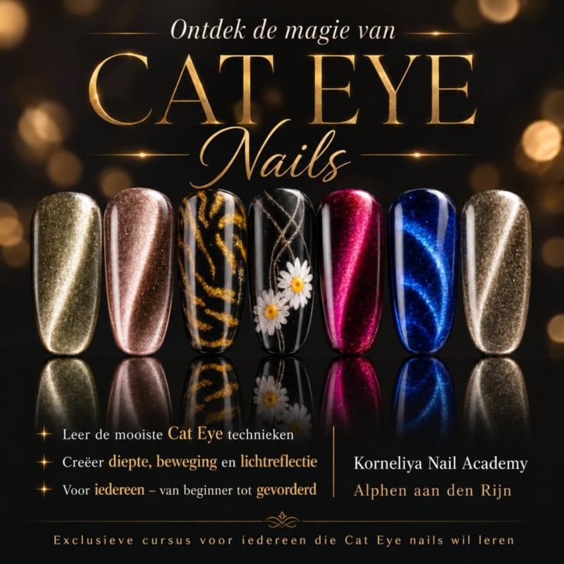 Cursus Cat Eye Nails BASIC zondag 8 november 13.00