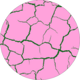 Korneliya CrackLack ROOS / PINK